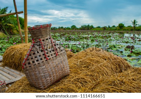 Fishing creel, Bamboo basket put the fish on Rice straw Balcony with a Lotus pond.