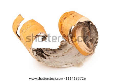 Birch bark on white background Royalty-Free Stock Photo #1114193726