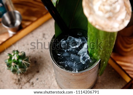 Close-up of cocktail with cactus and tequila, ice.