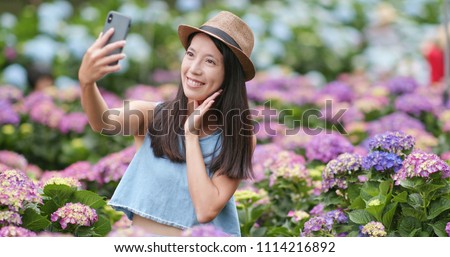 Woman take selfie in hydrangea flower farm