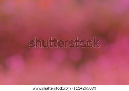 Romantic dream style with Pink color bokeh lights background
