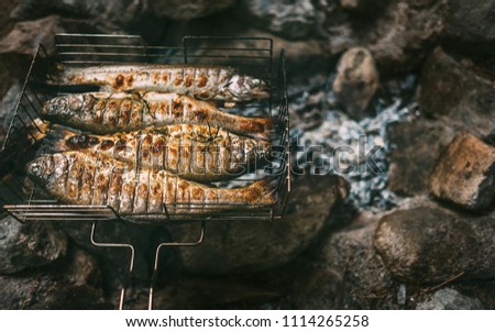 Fresh cooked trouts are in grilled grid   food background.