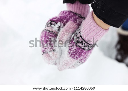 Women's hands in purple mittens make a snowball for outdoor play in the winter in the forest