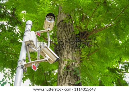 cctv security in garden on tree green nature background