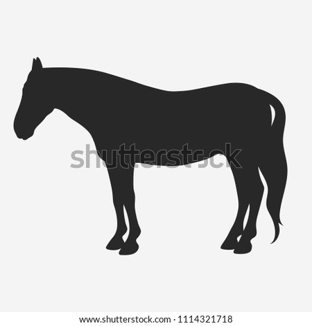 Vector horse silhouette isolated on white background.