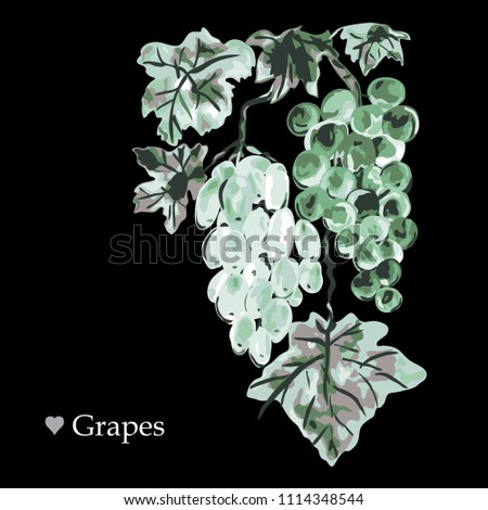Decorative grapes, design elements. Can be used for cards, invitations, banners, posters, print design. Fruit background in watercolor style