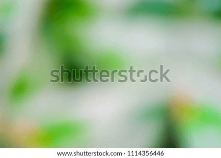 green and white abstract background