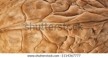 Walnut shell extreme macro as package design element collection. Texture closeup detail nut shell for your print.