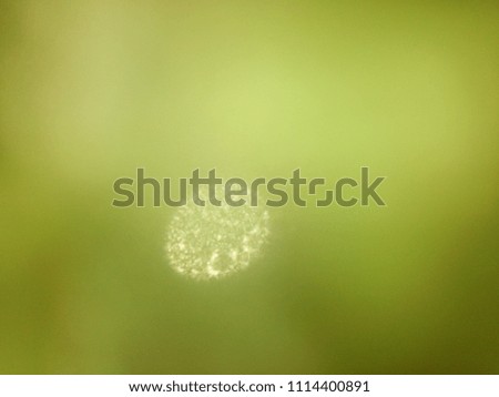 Abstract out of focus lights coming from the mother nature with abstract background of green leaves. Abstract background of Green, Yellow and white color. 
