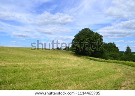Summer landscape with green mown grass and blue sky with white clouds in the central strip of Russia