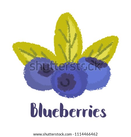 Blueberries - vintage illustration of forest berry with torn edges and brush effect. Vector