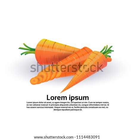 carrot on white background, healthy lifestyle or diet concept, logo for fresh vegetables