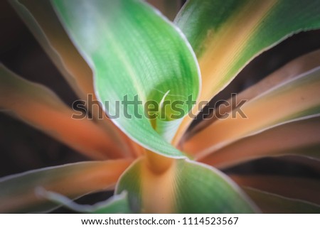 Creative leaves with abstract background