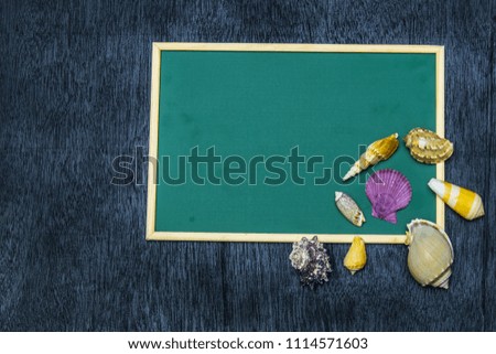 Sea shells and empty blackboard on black background