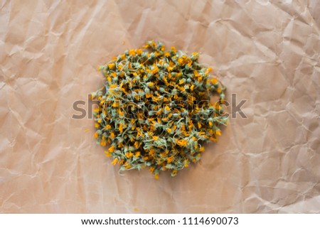 dried marigold on old paper, dry daisy, top view, background for text, for logo, frame