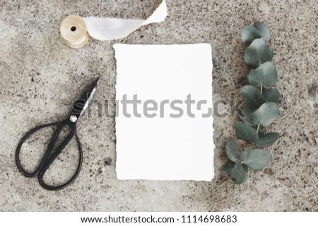 Feminine styled stock photo, greeting card mockup. Green silver dollar eucalyptus branch, black vintage scissors, silk ribbon, blank cotton paper card. Grunge concrete background. Flat lay, top view