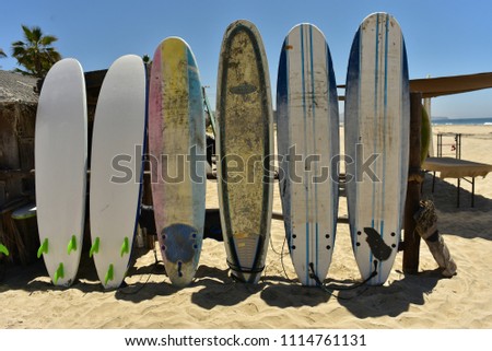 surfboards on sand beach in Baja, Mexico