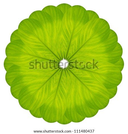 Green flower badge from leaf isolated on white