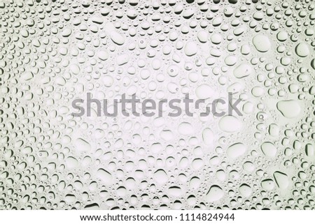 Close up of a water drops on a white gradient background, covered with drops of water -condensation.