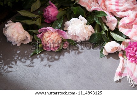 pink flowers and beautiful background