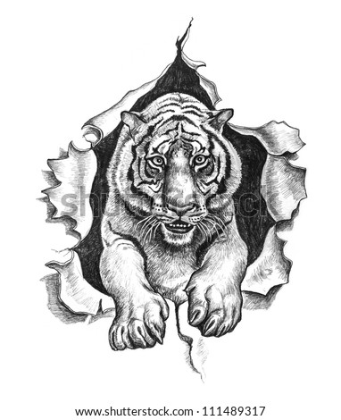 Tiger ripped metal. Pencil drawing illustration.