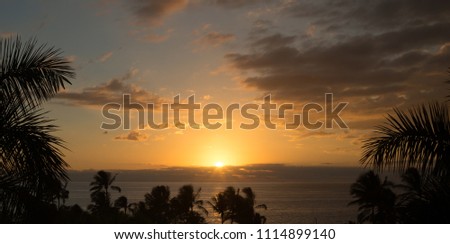 Maui Golden Sunset