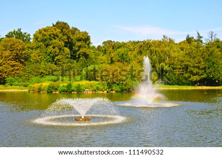 garden with pond and fountain