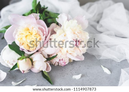 Pink White Pastel Peony Flowers On Grey Concrete Background. Wedding, birthday, valentine's day, gift or women's day concept