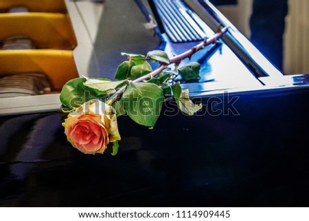 red rose placed on black piano