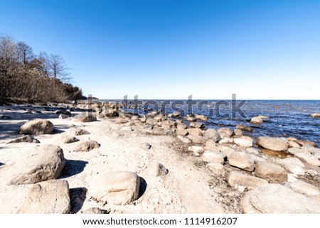 rocky beach in the baltic sea with trees and skyline