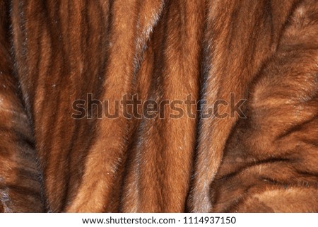 animal fur clothes detail close up