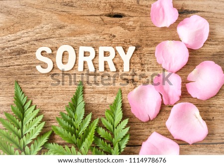 word SORRY made by wooden alphabets , petals of rose and green leaves on wooden background