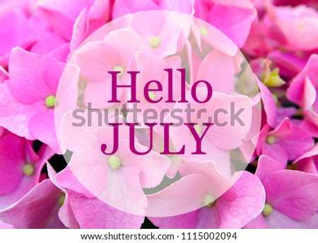 Hello July greeting on natural pink hydrangea flowers background.
Summer concept.
