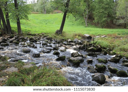 river and stones in forest