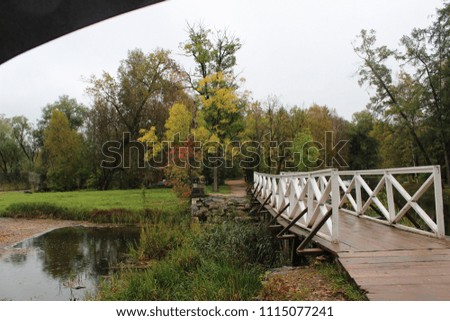 lake and bridge in park