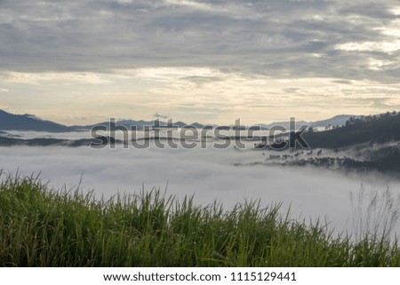 Da Lat- Lam Dong- Viet nam: Beautiful landscape Dalat - Vietnam, The village in fog and sun