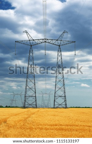 High-voltage line towers  in agricultural meadow of wheat
