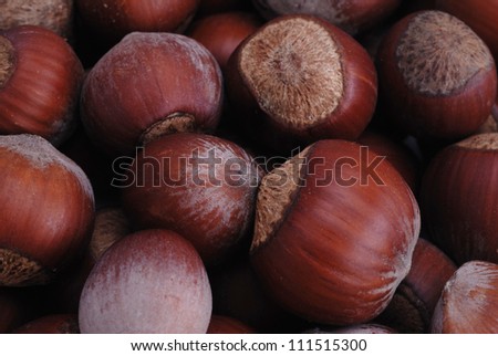 hazelnut in shell, vegetable  eating food
