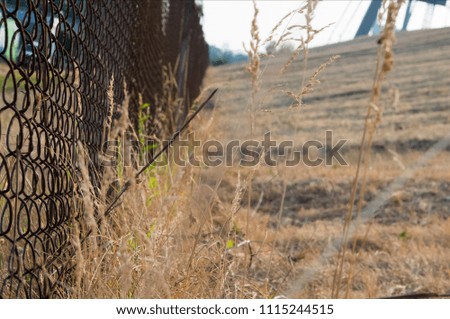An old iron fence in a yellow field in a summer day. Nice warm weather. Bright colors. Colorful background. Closeup.