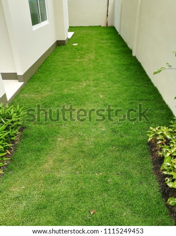 Lawn to the house