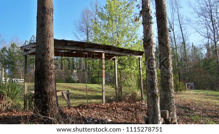 Tin roof shed in wooded area