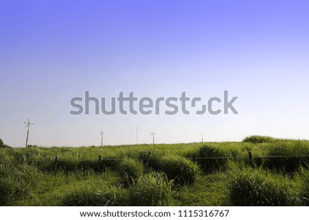 Landscape with grassy hills and a clear sky