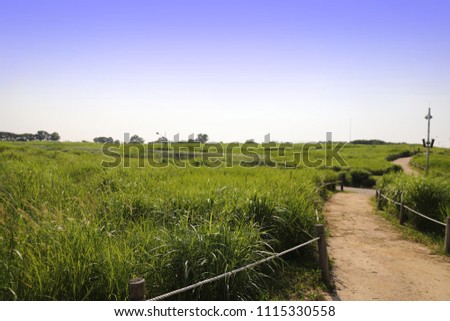 countryside landscape with a wooden fence under a clear sky