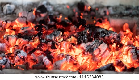 Burning wood coal in fireplace close up