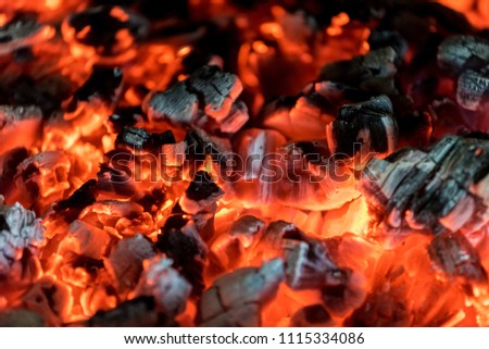 Burning wood coal in fireplace close up