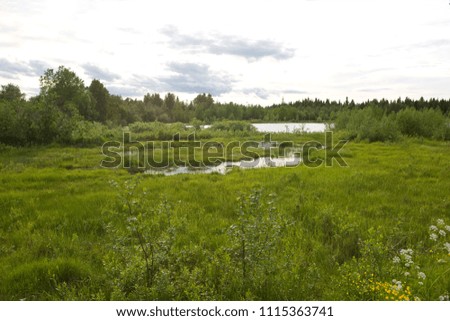 View of Karelia region of Russia