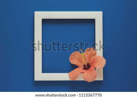 Minimalism. Wooden frame decorated hibiscus flower. Top view. Flat lay. Mock-up. Toned