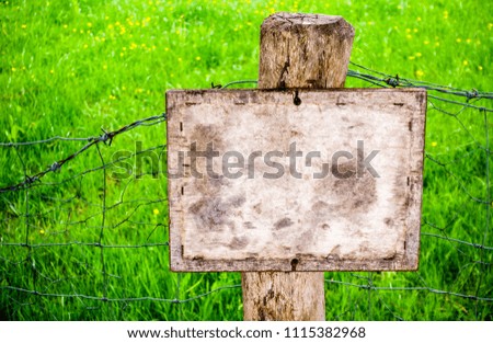 blank wooden sign at a forest