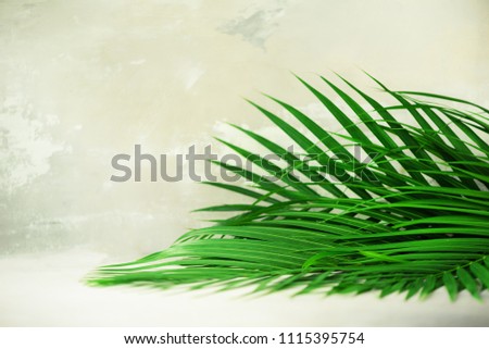 Tropical palm leaves on grey concrete background. Minimal summer concept. Creative flat lay with copy space. Top view green leaf on punchy pastel paper.