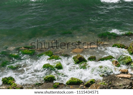 stones with moss on the sea shore, ocean